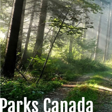 Parks Canada Web Design